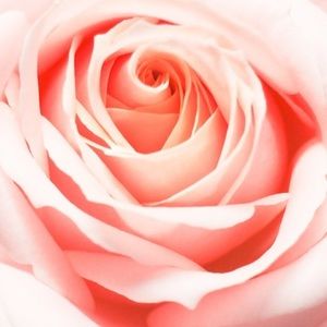 Meet your Posher, Irene